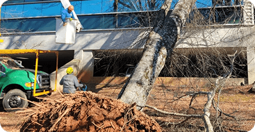 24/7 emergency service