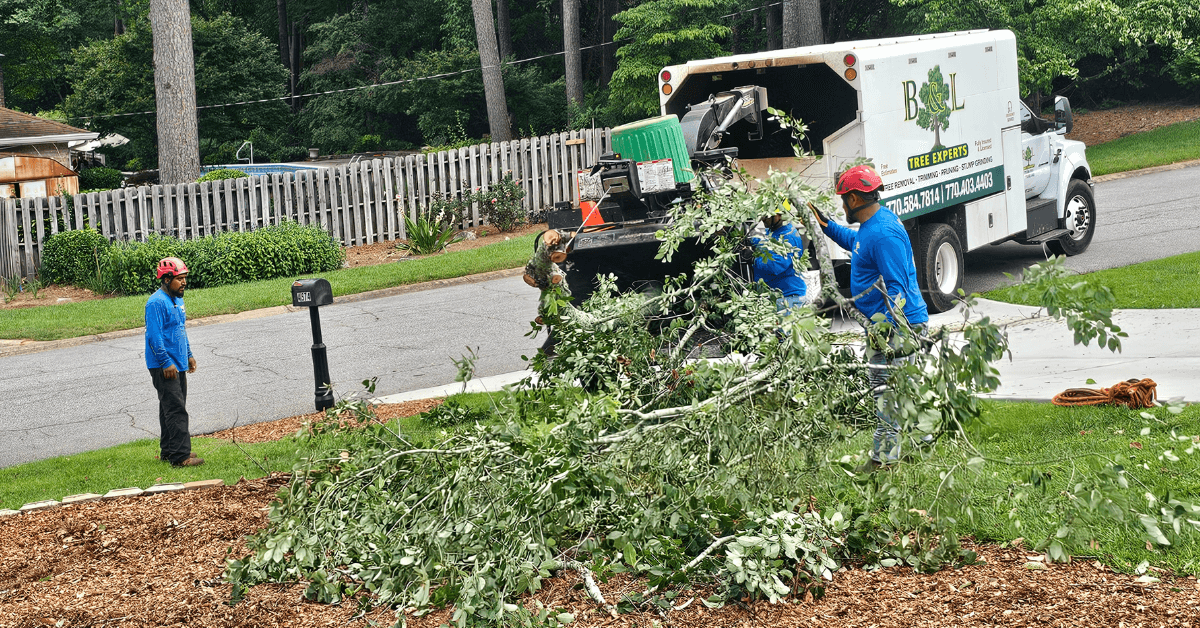 Shrub removal service in Lawrenceville, GA at a residential property