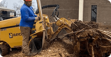 stump grinding