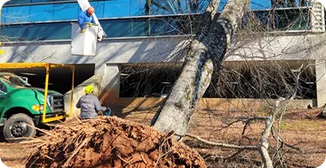 24/7 emergency service