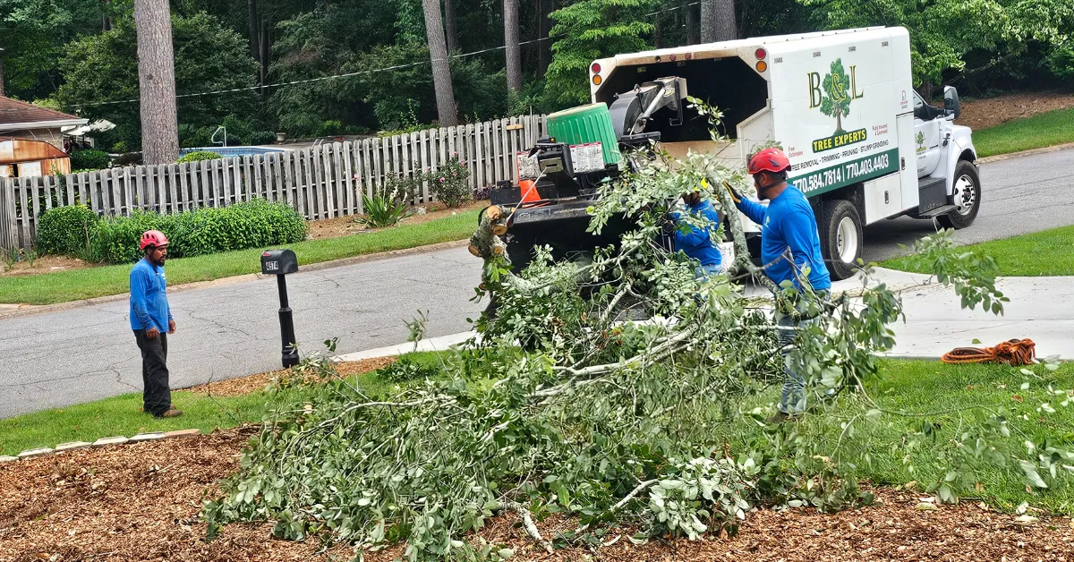 Shrub removal service in Lawrenceville, GA at a residential property