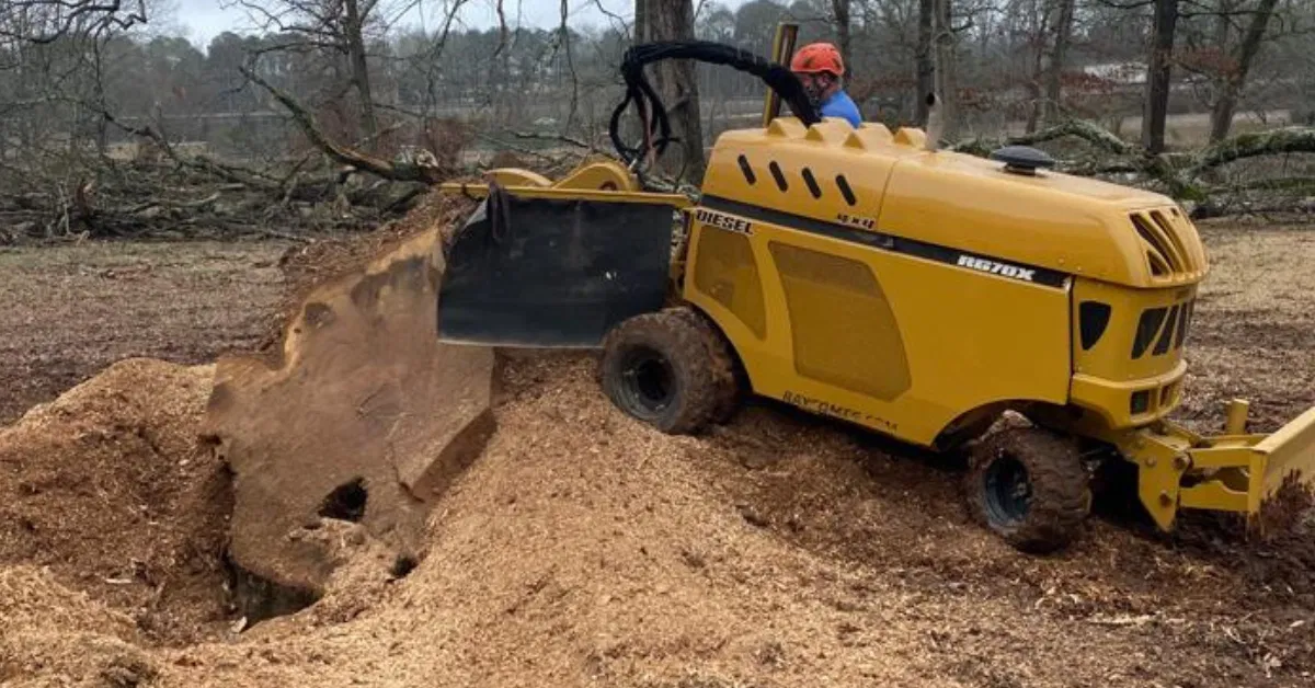 Stump Grinding