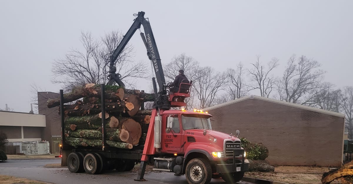 Land Clearing