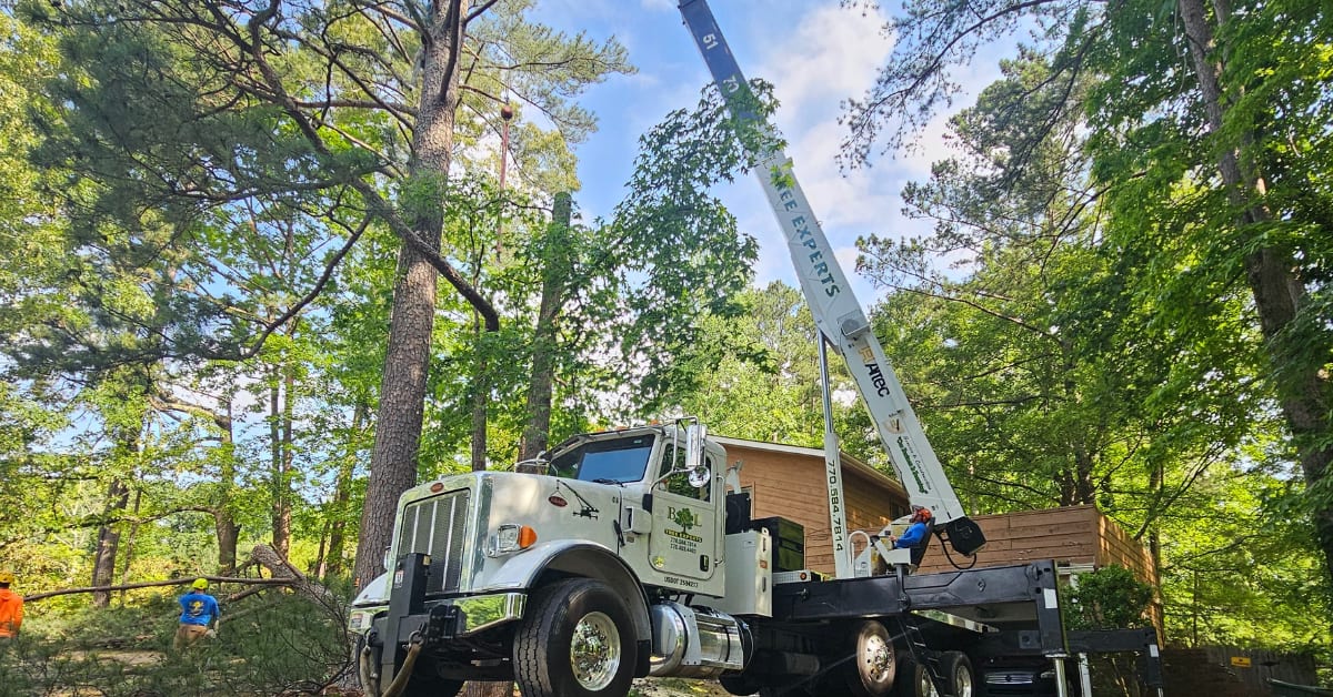 Tree Pruning