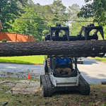 land clearing