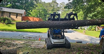 land clearing