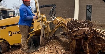 stump grinding